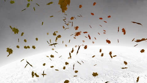 Digital-animation-of-multiple-autumn-maple-leaves-floating-against-winter-landscape-in-background