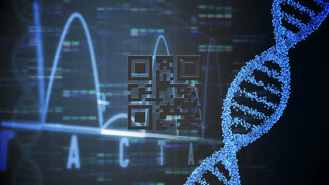 Digital-animation-of-neon-pink-qr-code-over-dna-structure-spinning-and-ecg-graph-on-black-background
