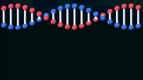 Animation-Eines-Sich-Drehenden-DNA-Strangs-Auf-Schwarzem-Hintergrund