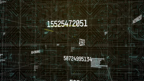 Multiple-changing-numbers-and-light-trails-moving-over-microprocessor-connection-on-black-background