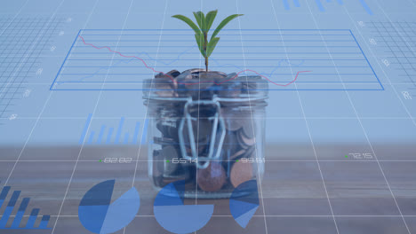Animation-of-financial-data-processing-over-jar-with-plant-full-of-coins