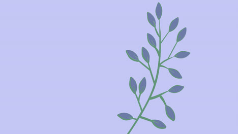 Animation-Eines-Zweigs-Mit-Blauen-Blättern-Und-Kopierraum,-Der-Sich-Auf-Violettem-Hintergrund-Bewegt