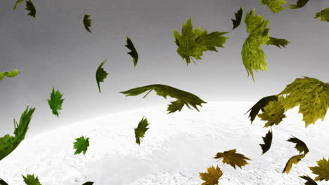 Digitale-Animation-Mehrerer-Herbstlicher-Ahornblätter,-Die-Vor-Einer-Winterlandschaft-Im-Hintergrund-Schweben