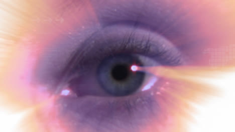 Stock-Footage-of-an-eye