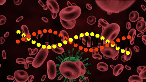 Animation-Eines-DNA-Strangs,-Der-über-Covid-Zellen-Und-Blutzellen-Rotiert