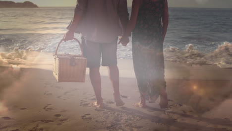 Animation-of-glowing-light-over-happy-senior-couple-with-picnic-basket-by-seaside