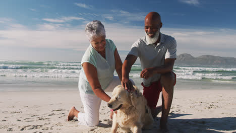 Senior-african-american-couple-petting-a-dog-at-the-beach