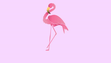 Animation-Von-Flamingo-Auf-Gelbem-Hintergrund