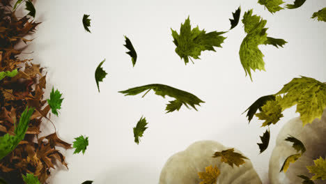 Animation-of-multiple-green-leaves-falling-over-white-background