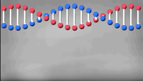 Animation-of-dna-strand-spinning-with-copy-space-on-grey-background