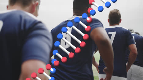 Animation-Eines-DNA-Strangs-über-Männlichen-Rugbyspielern-Im-Stadion