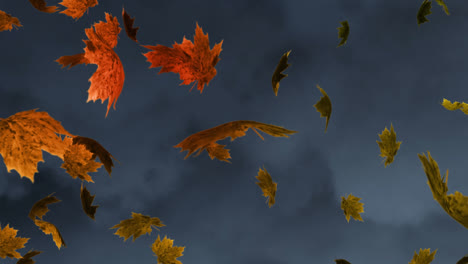 Digital-animation-of-multiple-autumn-maple-leaves-floating-against-textured-grey-background
