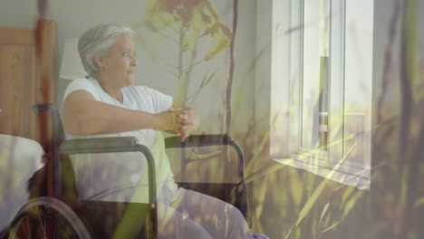 Animation-of-glowing-light-over-senior-woman-in-wheelchair-looking-through-window