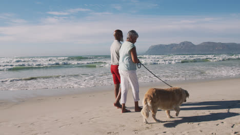 Älteres-Afroamerikanisches-Paar,-Das-Mit-Einem-Hund-Spazieren-Geht-Und-Am-Strand-Händchen-Hält