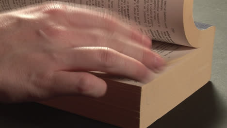 Stock-Footage-Reading
