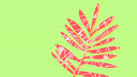 Animation-Von-Roten-Blättern-Und-Kopierraum,-Der-Sich-Auf-Grünem-Hintergrund-Bewegt