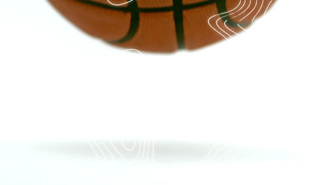 Animation-of-white-contour-lines-moving-over-basketball-bouncing-on-white-background