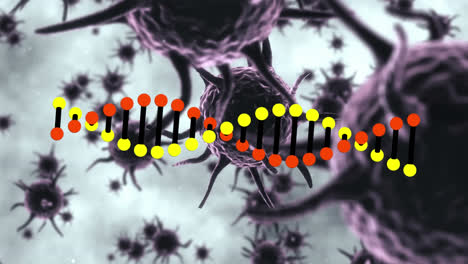 Animation-Eines-DNA-Strangs,-Der-Sich-über-Covid-19-Zellen-Dreht