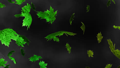 Digital-animation-of-multiple-autumn-maple-leaves-floating-against-textured-black-background