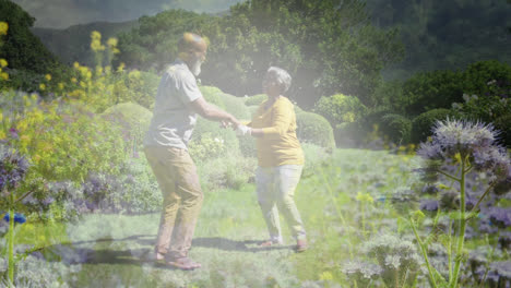Animation-of-glowing-light-over-portrait-of-happy-senior-couple-dancing-in-garden