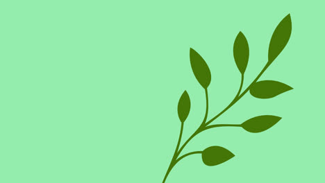 Animation-of-green-leaves-with-copy-space-on-green-background