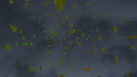 Digitale-Animation-Mehrerer-Herbstlicher-Ahornblätter,-Die-Vor-Einem-Strukturierten-Grauen-Hintergrund-Schweben