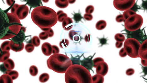 Animation-Eines-Kreisförmigen-Scans-über-Blutzellen-Und-Covid-19-Zellen-Auf-Weiß
