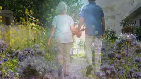 Animation-of-meadow-over-senior-couple-walking-and-holding-hands