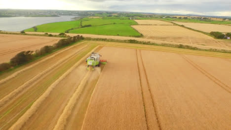 Animation-of-combine-harvester-on-field