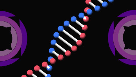 Animation-Des-Scannens-Von-Zielfernrohren-Und-Des-Spinnens-Von-DNA-Strängen