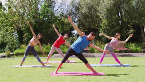Diverse-group-practicing-yoga-with-male-instructor,-standing-on-mats-in-sunny-park