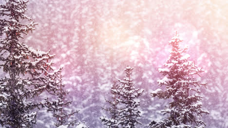 Lichtfleck-Und-Schnee,-Der-über-Mehrere-Bäume-In-Einer-Winterlandschaft-Fällt