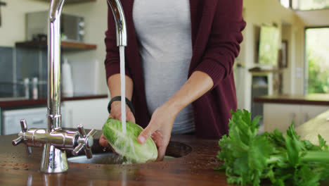 Midsection-of-caucasian-pregnant-woman-washing-vegetables-in-kitchen