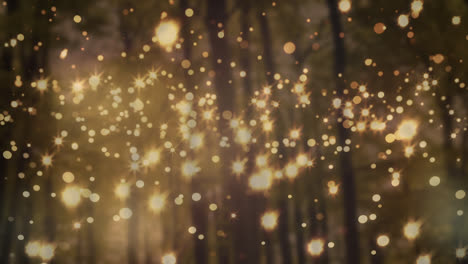 Animation-of-yellow-christmas-flickering-spots-over-forest-in-background
