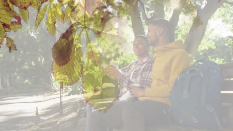 Composite-of-happy-mixed-race-male-friends-talking-on-bench,-and-sunlight-on-leaves