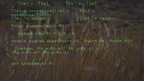 Animation-of-data-processing-over-grass