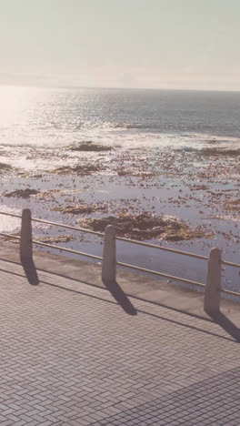 Punto-De-Luz-Contra-La-Vista-Aérea-De-Una-Mujer-Afroamericana-En-Forma-Corriendo-Por-El-Paseo-Marítimo