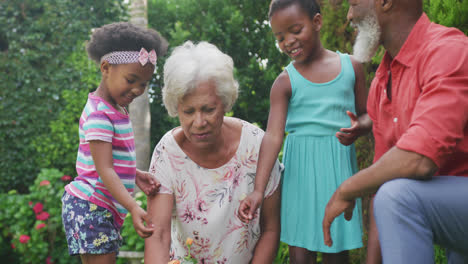 Happy-senior-african-american-grandparents-with-grandchildren-working-in-garden