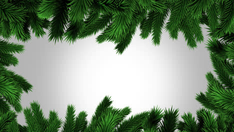 Grüne-Weihnachtsbaumzweige-Mit-Kopierraum-Auf-Grauem-Hintergrund
