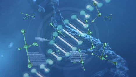 Animation-Von-DNA-Strängen-Und-Molekülen-über-Datenverarbeitung