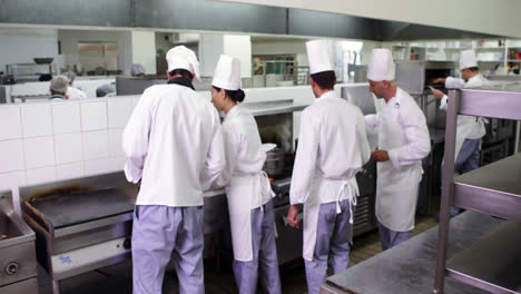 Chefs-at-work-in-a-busy-kitchen