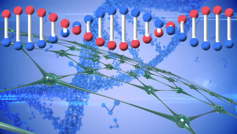Animation-of-dna-strands-and-rows-of-green-networks