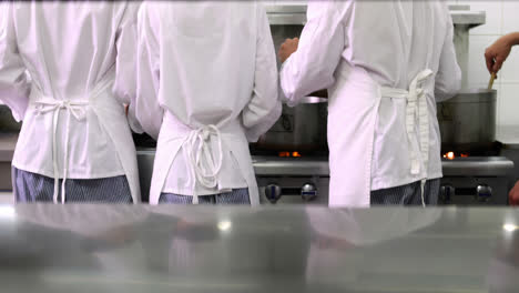Rear-view-of-busy-chefs-at-work