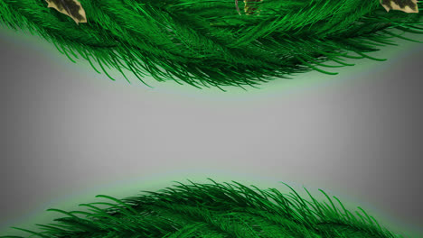 Animation-of-fir-trees-branches-over-white-background