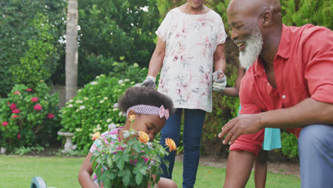 Happy-senior-african-american-grandparents-with-grandchildren-working-in-garden