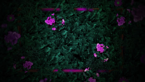 Animation-of-pink-flowers-in-green-leaves,-with-silhouetted-butterflies-and-pink-lights