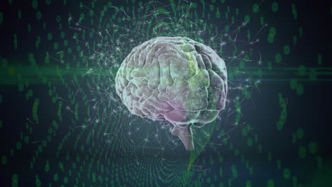 Animation-of-brain-rotating-over-green-and-black-background-with-neural-connections