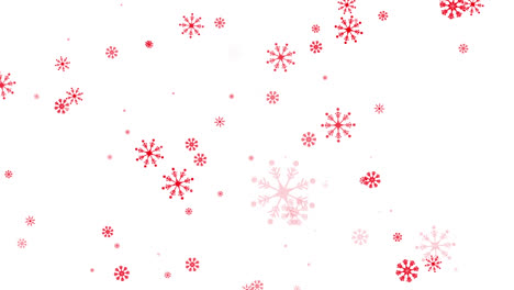 Animation-of-red-snow-falling-over-white-background