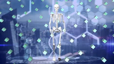 Animación-Del-Esqueleto-Humano-De-La-Cadena-De-ADN-Y-Filas-De-Cubos-Verdes-Sobre-Procesamiento-De-Datos.