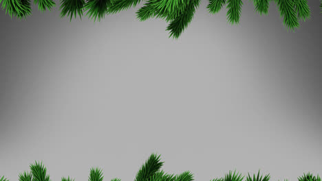 Green-christmas-tree-branches-with-copy-space-on-grey-background